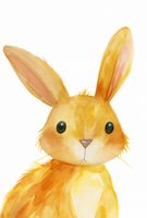 product-compare-59394818