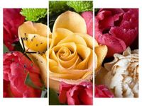 product-compare-58641151