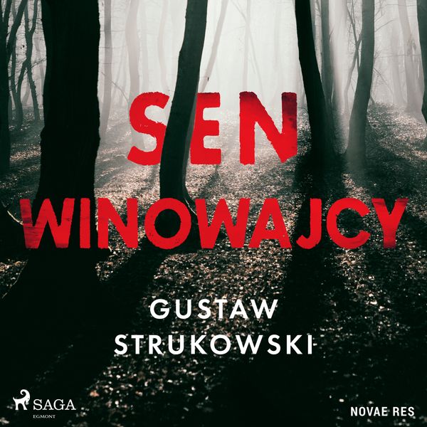 (mp3) Sen winowajcy zdjęcie 1