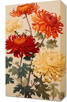 product-compare-59465522