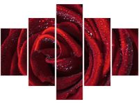 70 100CM OBRAZ 5 ELEM BORDOWA RÓŻA DRUK PŁÓTNO