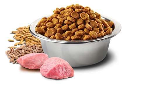 N&D Tropical Cat Lamb neutered 300 gr zdjęcie 4