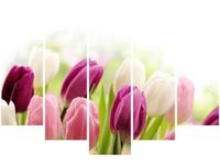 product-compare-58696746