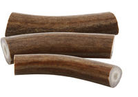 Poroże renifera fragmenty