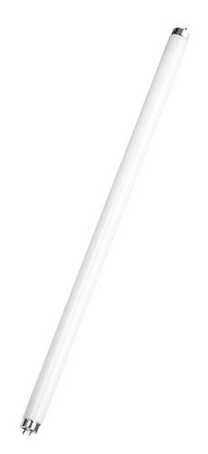 Świetlówka trójpasmowa ACTIS na Arena.pl