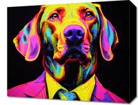 Obraz 50x40cm Barwna Osobowość