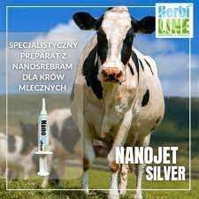 Nano Jet Silver 10 ml na Arena.pl