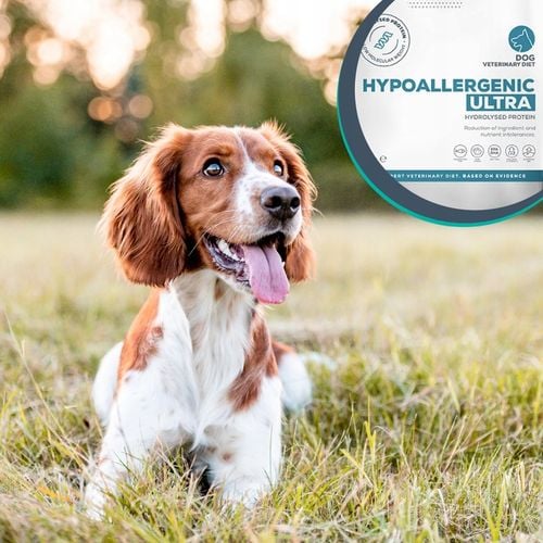 Sucha karma dla psów z alergią Vet Expert Hypoallergenic Ultra z rybą na Arena.pl