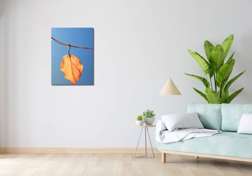 Obraz 50x70cm Ostatni Liść na Arena.pl