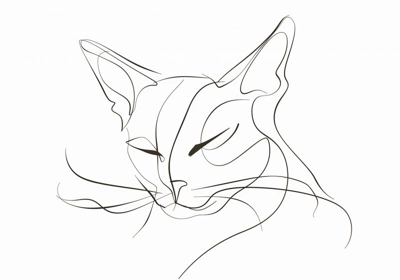 Plakat 100x70cm Linijny Kot zdjęcie 1