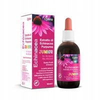 Echinacea Junior Krople Bez Alkoholu Ekstrakt z Jeżówki 50ml