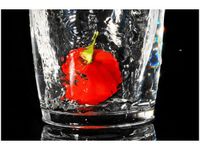 60X40CM PLUM TAMBAKO THE JAGUAR OBRAZ