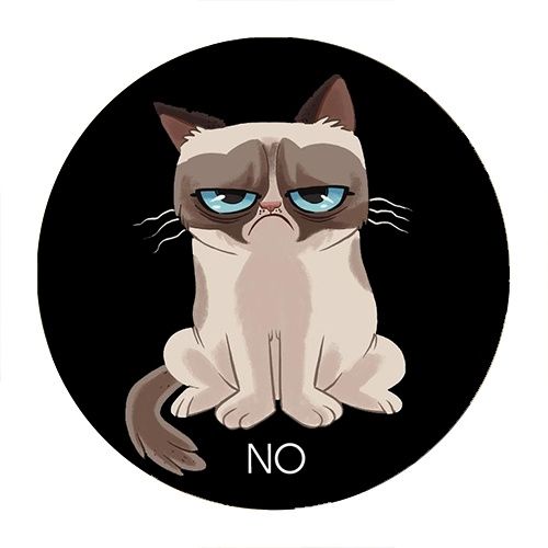 Przypinka Grumpy Cat na Arena.pl