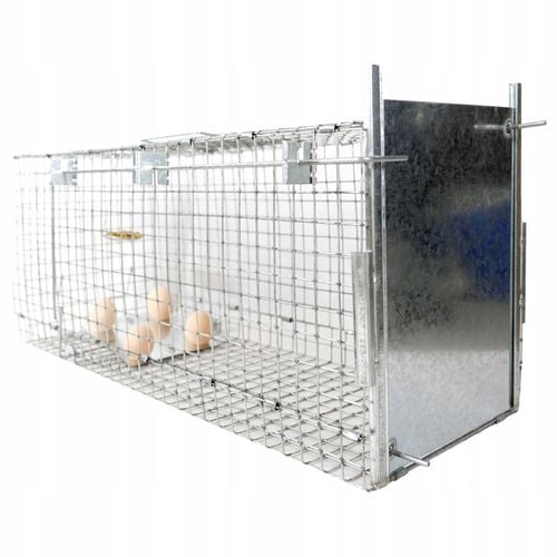 ŻYWOŁAPKA PUŁAPKA NA KUNY SZCZURY ŁASICE NORKI TCHÓRZE ŁASKI ŁAPKA na Arena.pl