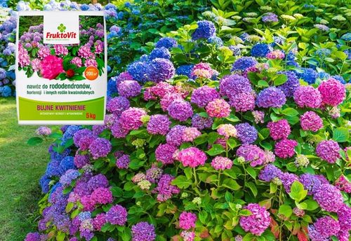 NAWÓZ FRUKTOVIT DO RODODENDRONÓW HORTENSJI KWAŚNOLUBNYCH GRANULAT 5 KG na Arena.pl