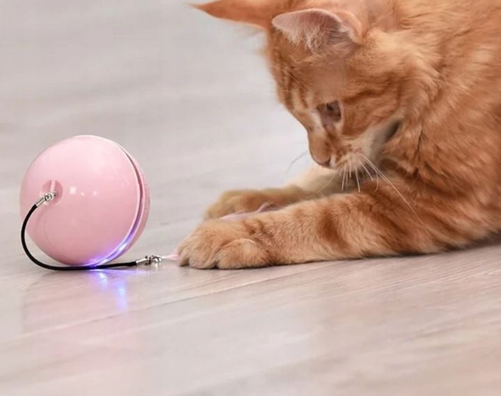 INTERAKTYWNA ZABAWKA PIŁKA DLA KOTA + DODATKI zdjęcie 3