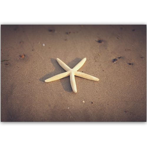 Deco Panel, Skarb oceanu 120x80 na Arena.pl