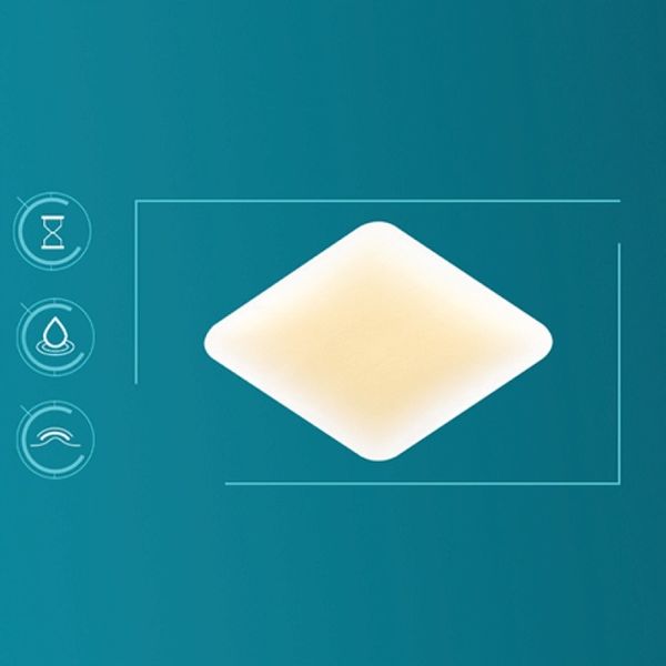 COMPEED plastry na halluksy 5 szt x3 zdjęcie 5