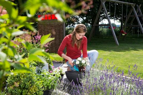 widełki do kwiatów - hg-08952-20 na Arena.pl