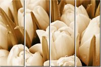 product-compare-58698420