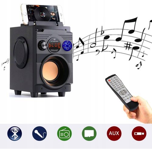 Głośnik Przenośny Feegar Showjet + Mikrofon na Arena.pl