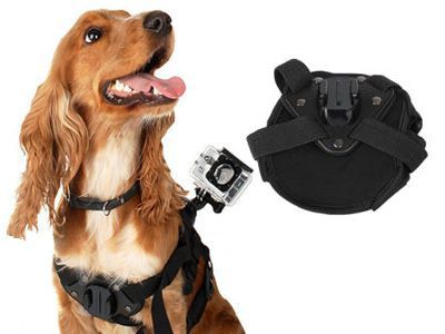 Szelki dla psa typ B, mocowanie do GoPro (GP203) na Arena.pl
