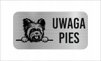 GRAWER Tabliczka nierdzewna 20x10 cm UWAGA PIES yorkshire terrier