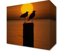 product-compare-59470883