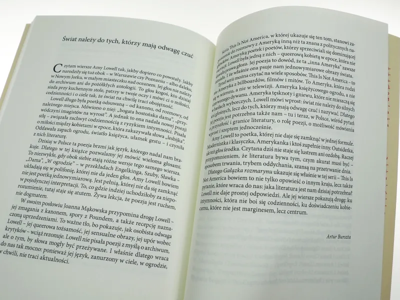 Gałązka rozmarynu zdjęcie 16