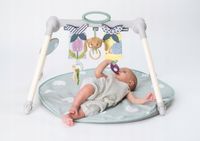 Zabawka do gimnastyki Taf Toys Urban Garden 13075