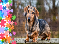 Puzzle tradycyjne Zwierzęta - Pies