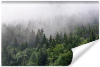 Fototapeta 3D Las we Mgle Chmury NATURA do Salonu 360x240