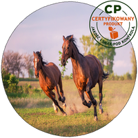 Opłatek na tort Konie