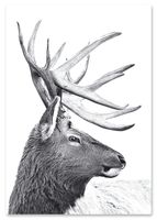 Plakat cyfrowy do wydruku jeleń skandynawski