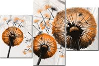 product-compare-58699925