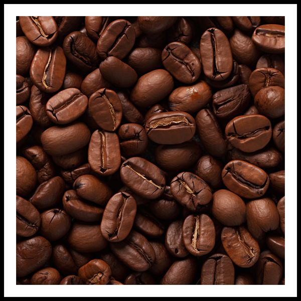 Plakat 100x100cm Esencja Aromatu zdjęcie 3