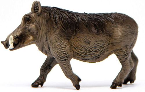 SCHLEICH Wild Life Guziec na Arena.pl