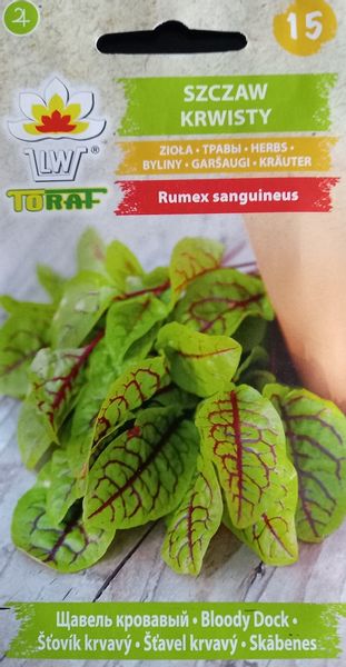 Szczaw krwisty 0,2 g. nasion zioła zdjęcie 3