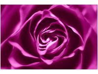 100 70CM OBRAZ PŁÓTNO RÓŻOWO-FIOLETOWA RÓŻA PŁÓTNO RAMA