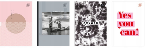 BRULION PT B5 96 LINIA INTERDRUK na Arena.pl