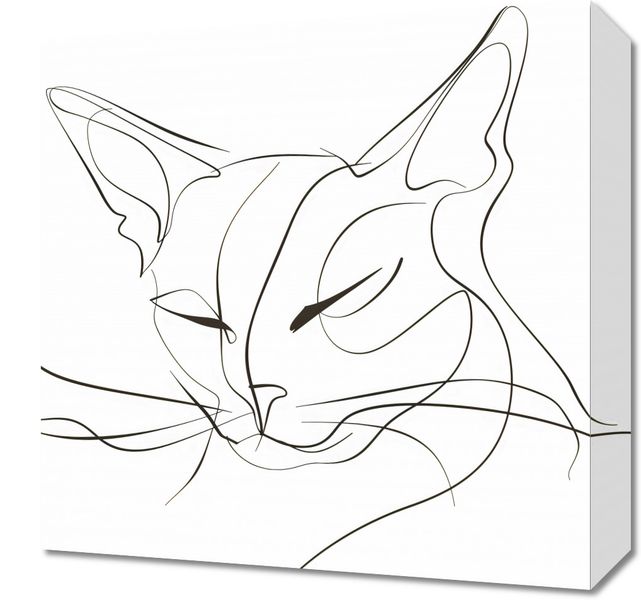 Obraz 40x40cm Linijny Kot zdjęcie 1