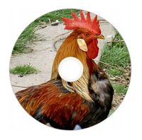 Nadruk na płycie Maxell DVD-R 4,7G 16x 036