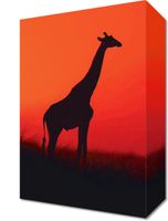 Obraz 20x30cm Żyrafa w Czerni