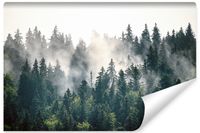 Fototapeta Do Jadalni LAS We Mgle Góry Pejzaż Natura 400cm x 280cm