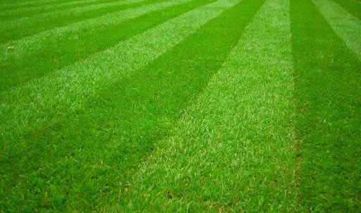 KOSIARKA SPALINOWA Z NAPĘDEM NAX 1000S 42CM BRIGGS zdjęcie 10