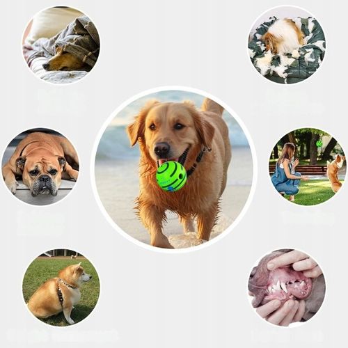 Interaktywna Zabawka dla Psa Piłka z Dźwiękiem Wytrzymała Dużych Ras Psów na Arena.pl