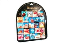 magnes 24szt. morski