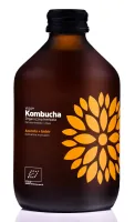 Kombucha Z AcerolĄ I Imbirem Bezglutenowa BIO 330 ml - Vigo