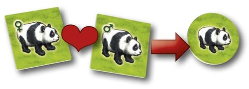 G3 Gra Zooloretto (edycja 2016) na Arena.pl