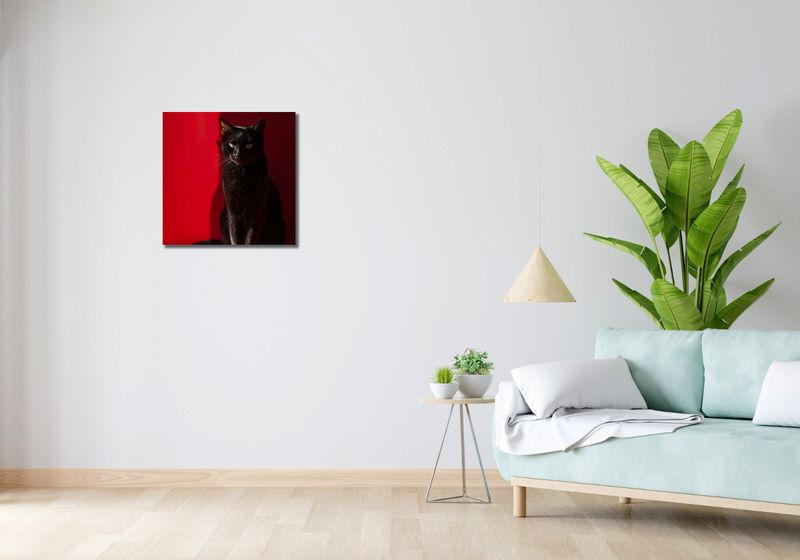 Obraz 50x50cm Elegancja w Cieniu zdjęcie 2